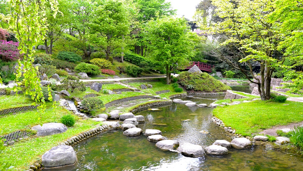 Jardin japonais