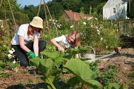 potager